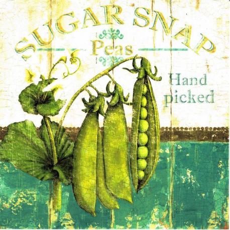 Carte Marie-Elaine Cusson - Sugar Snap - 14x14 cm