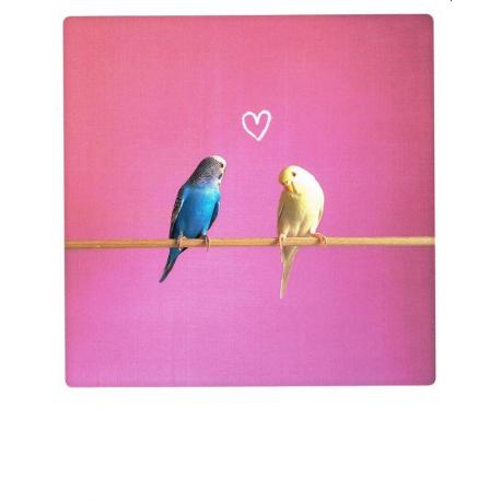 Carte Pickmotion de @Litzarevna - Amour - 10.5x13 cm