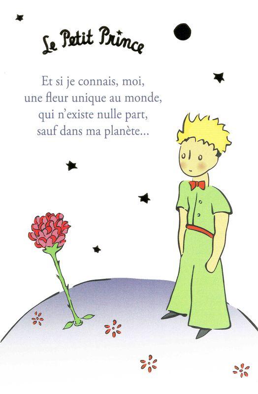 Carte Le Petit Prince De Saint Excupery Et Si Je Connais Moi Une Fleur Unique Au Monde 10x15 Cm Planete Images Com