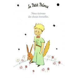 Carte Le Petit Prince de Saint-Excupéry - Nous écrivons des choses éternelles.. - 10x15 cm