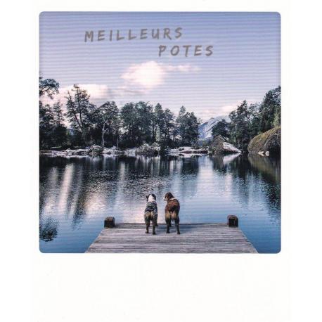 Carte Pickmotion de @Elniniocamo - Meilleurs potes - 10.5x13 cm