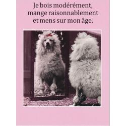 Carte humour de Cath Tate - Je bois modérément, mange raisonnablement... - 10.5x15 cm