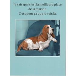 Carte humour de Cath Tate - Je sais que c'est la meilleure place... - 10.5x15 cm