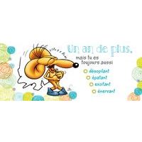 Carte Ze souris folie's - Un an de plus, mais tu es toujours aussi... - Carte double 11x26 cm